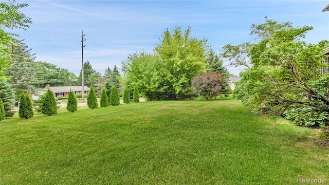 165 Lisa Ct, White Lake, MI 48386 - photo 34