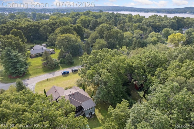 11858 Earl St, Pinckney, MI 48169 - photo 54