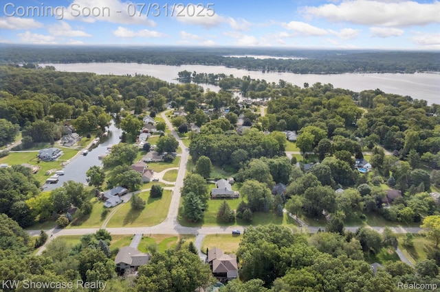 11858 Earl St, Pinckney, MI 48169 - photo 59