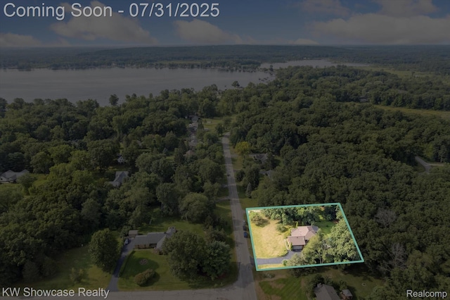 11858 Earl St, Pinckney, MI 48169 - photo 60