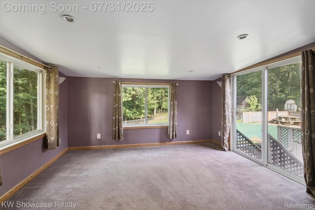 11858 Earl St, Pinckney, MI 48169 - photo 10