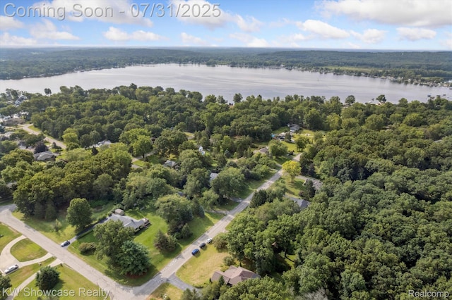 11858 Earl St, Pinckney, MI 48169 - photo 58