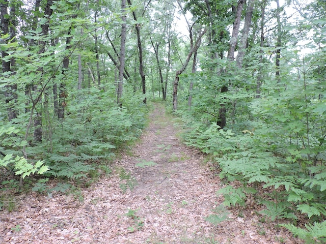 9773 N Woodbridge Ave, Bitely, MI 49309 - photo 34