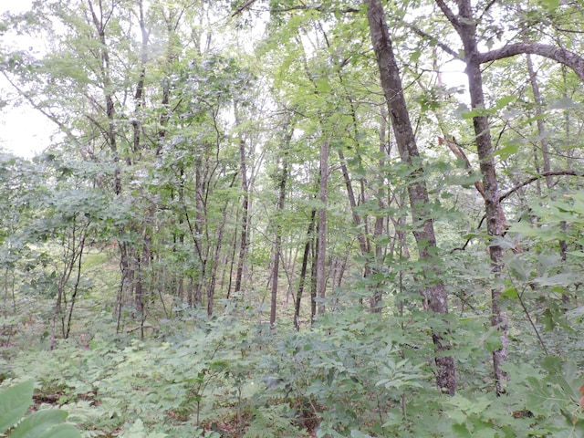 9773 N Woodbridge Ave, Bitely, MI 49309 - photo 37