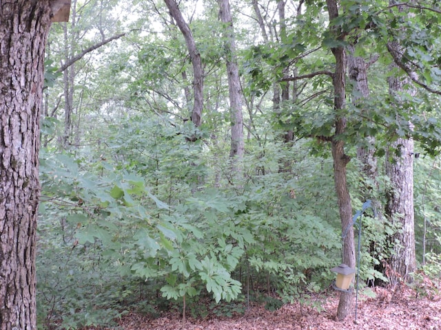 9773 N Woodbridge Ave, Bitely, MI 49309 - photo 40