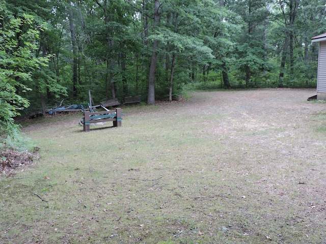 9773 N Woodbridge Ave, Bitely, MI 49309 - photo 24