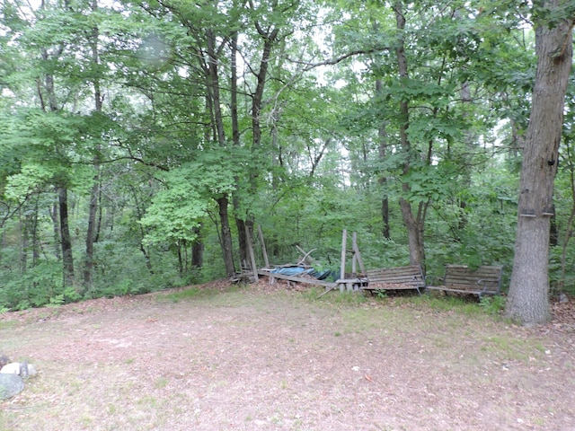 9773 N Woodbridge Ave, Bitely, MI 49309 - photo 27