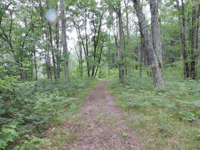 9773 N Woodbridge Ave, Bitely, MI 49309 - photo 45