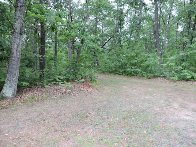 9773 N Woodbridge Ave, Bitely, MI 49309 - photo 35