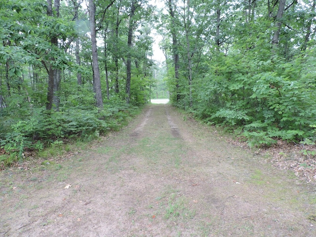 9773 N Woodbridge Ave, Bitely, MI 49309 - photo 36