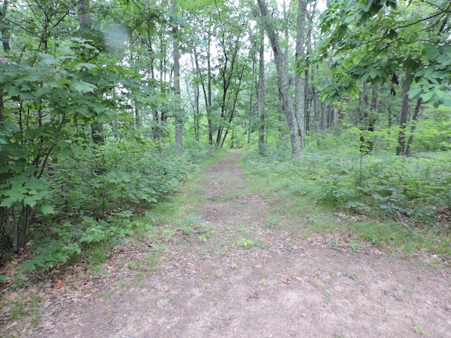 9773 N Woodbridge Ave, Bitely, MI 49309 - photo 41