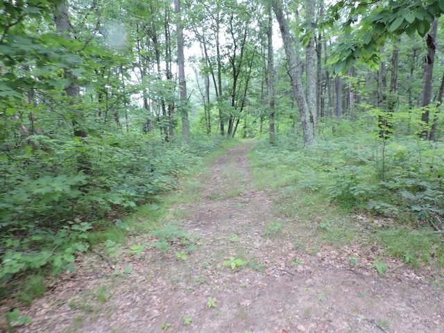 9773 N Woodbridge Ave, Bitely, MI 49309 - photo 42