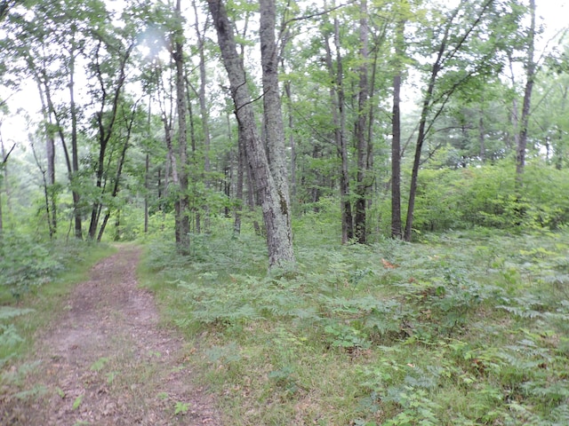 9773 N Woodbridge Ave, Bitely, MI 49309 - photo 44
