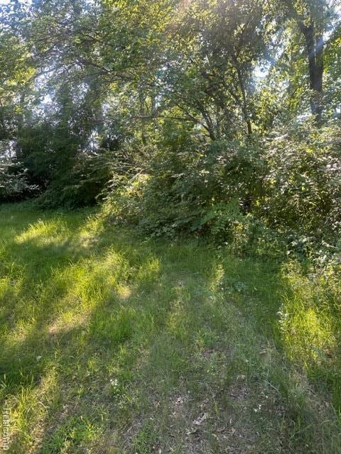 9155 Clinton, Holly, MI 48442 - photo 3