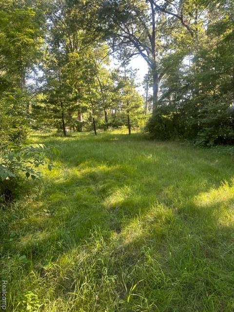 9155 Clinton, Holly, MI 48442 - photo 2