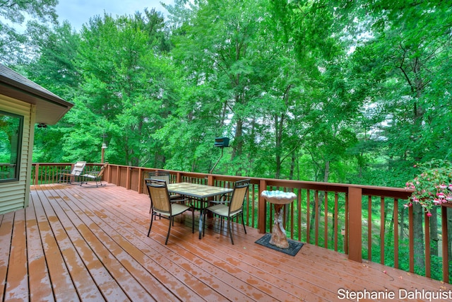 9160 Mill Pond Trl, Whitehall, MI 49461 - photo 53