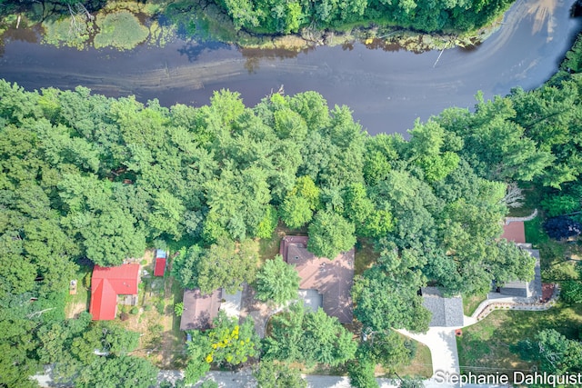 9160 Mill Pond Trl, Whitehall, MI 49461 - photo 58