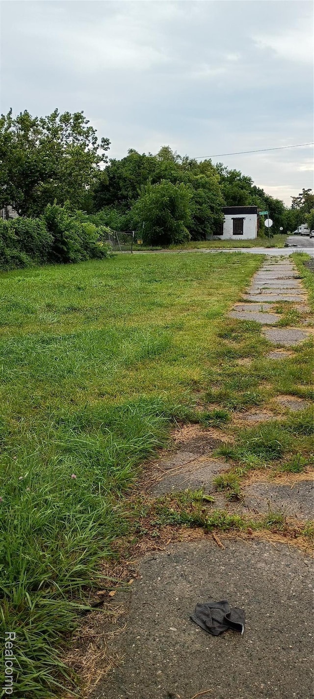 5501 Cadillac Ave, Detroit, MI 48213 - photo 5