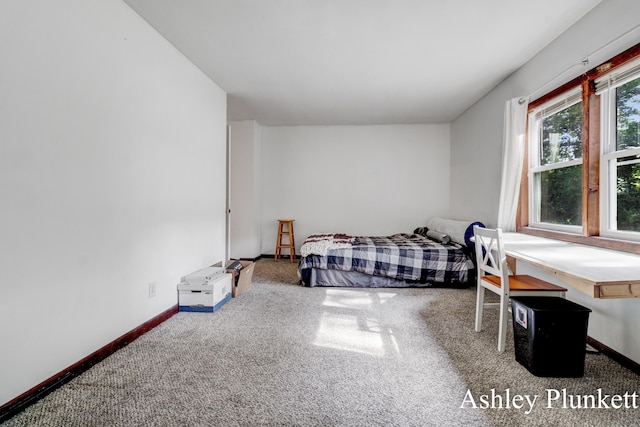 9312 S Oceana Dr, Montague, MI 49437 - photo 31