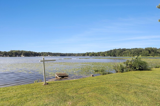 57436 Gearharts Landing Rd, Three Rivers, MI 49093 - photo 33