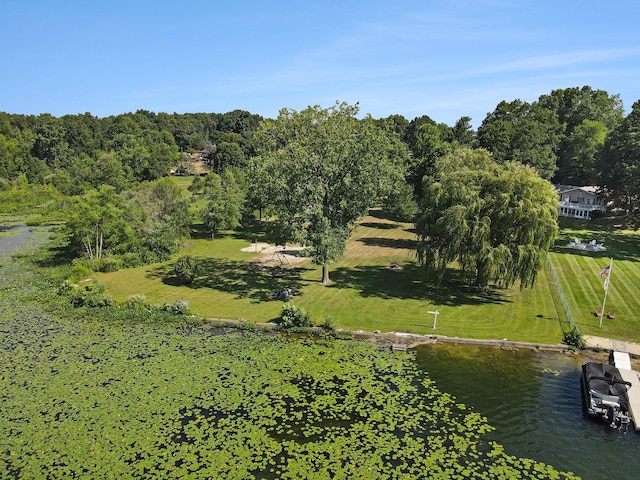 57436 Gearharts Landing Rd, Three Rivers, MI 49093 - photo 40