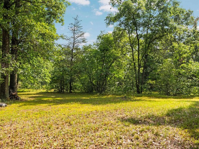 3815 Joseph St, Wellston, MI 49689 - photo 17