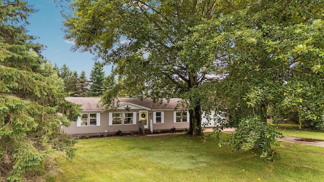 4242 E 46th Rd, Cadillac, MI 49601 - photo 10