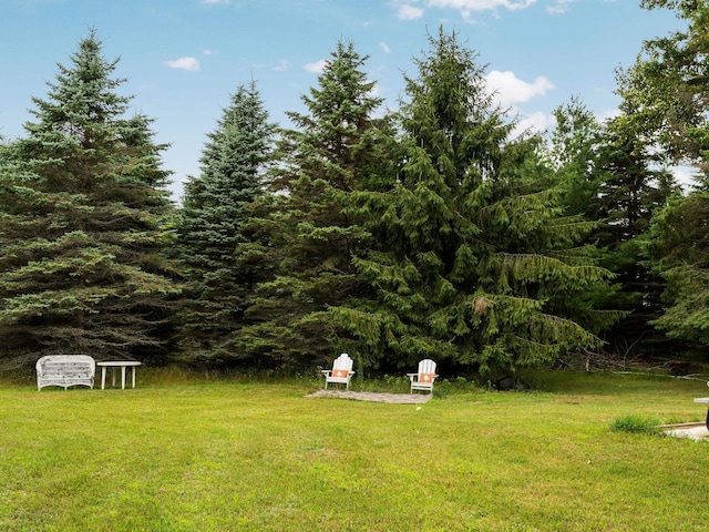 4242 E 46th Rd, Cadillac, MI 49601 - photo 12