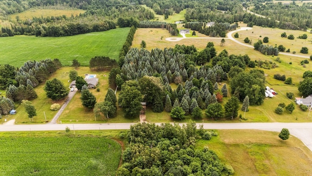4242 E 46th Rd, Cadillac, MI 49601 - photo 19
