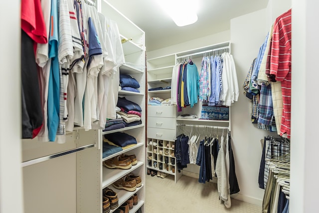 2980 Devonshire Rd, Ann Arbor, MI 48104 - photo 48