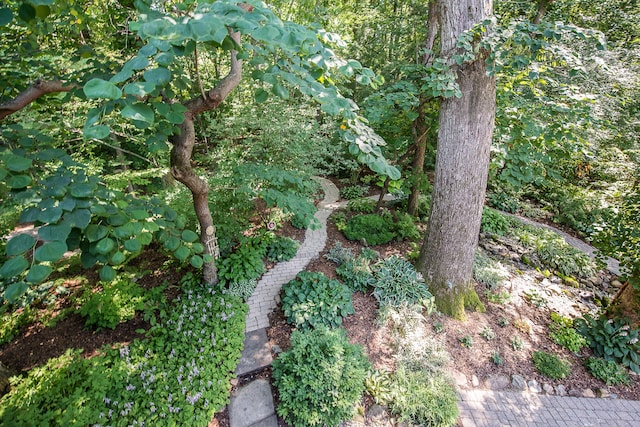 2980 Devonshire Rd, Ann Arbor, MI 48104 - photo 54