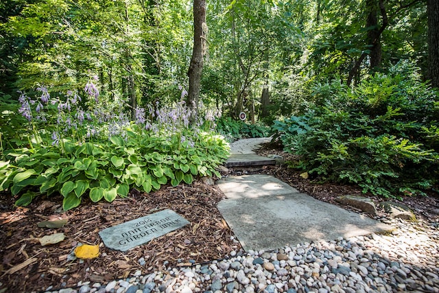 2980 Devonshire Rd, Ann Arbor, MI 48104 - photo 67