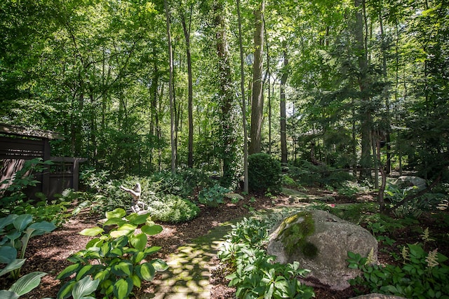2980 Devonshire Rd, Ann Arbor, MI 48104 - photo 71