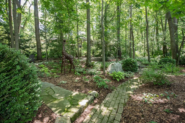 2980 Devonshire Rd, Ann Arbor, MI 48104 - photo 72