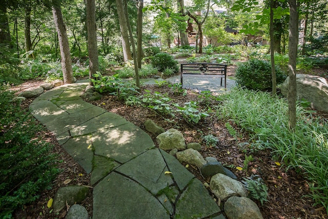 2980 Devonshire Rd, Ann Arbor, MI 48104 - photo 74