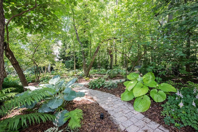 2980 Devonshire Rd, Ann Arbor, MI 48104 - photo 78