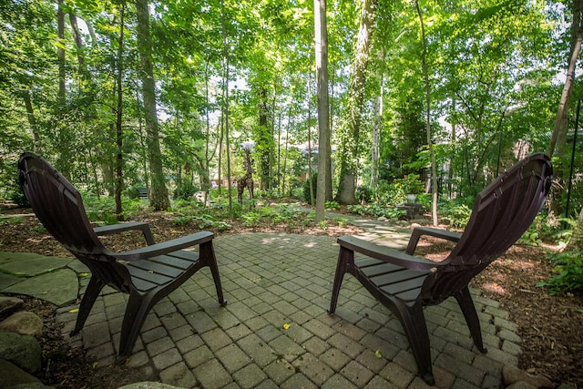 2980 Devonshire Rd, Ann Arbor, MI 48104 - photo 75