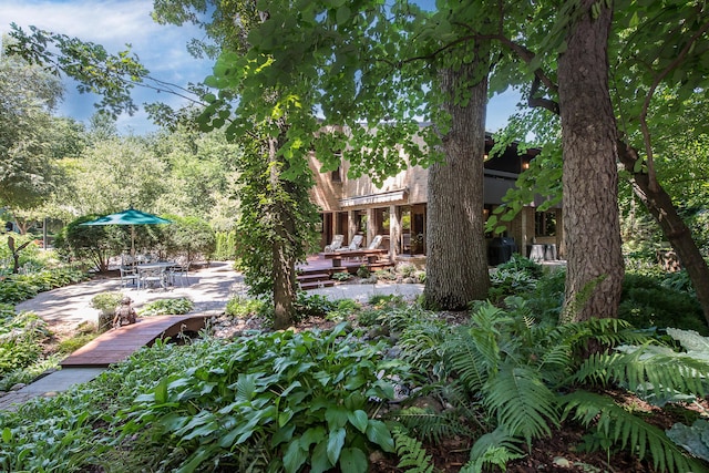 2980 Devonshire Rd, Ann Arbor, MI 48104 - photo 77