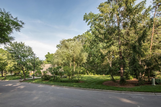 2980 Devonshire Rd, Ann Arbor, MI 48104 - photo 106