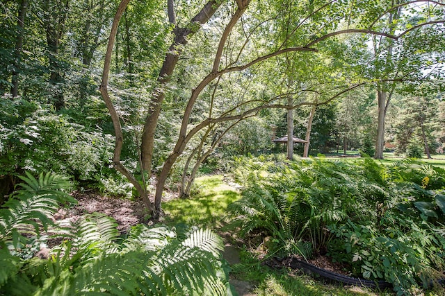 2980 Devonshire Rd, Ann Arbor, MI 48104 - photo 101