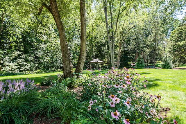 2980 Devonshire Rd, Ann Arbor, MI 48104 - photo 102