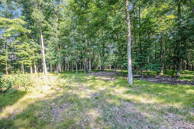 9263 Ferris Ave, Grant, MI 49327 - photo 20