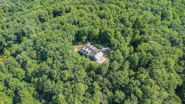 9263 Ferris Ave, Grant, MI 49327 - photo 15