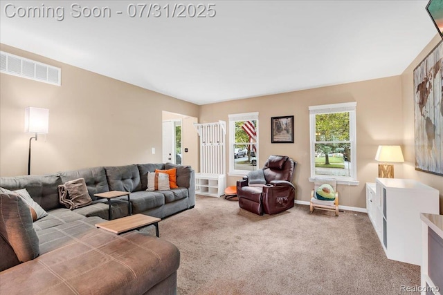 1209 Quail Ridge Dr, Oxford, MI 48371 - photo 8