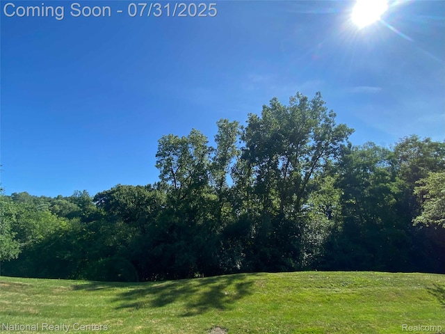 980 Stratford Ln E, Bloomfield Hills, MI 48304 - photo 35