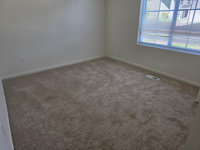 25441 Forest Ln, Mattawan, MI 49071 - photo 12