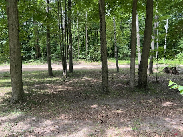 5092 E Dr, Lakeview, MI 48850 - photo 5