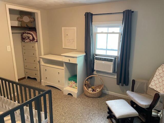 125 Harrison St, Coldwater, MI 49036 - photo 19