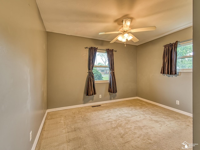 14380 Cedar St, Monroe, MI 48161 - photo 17