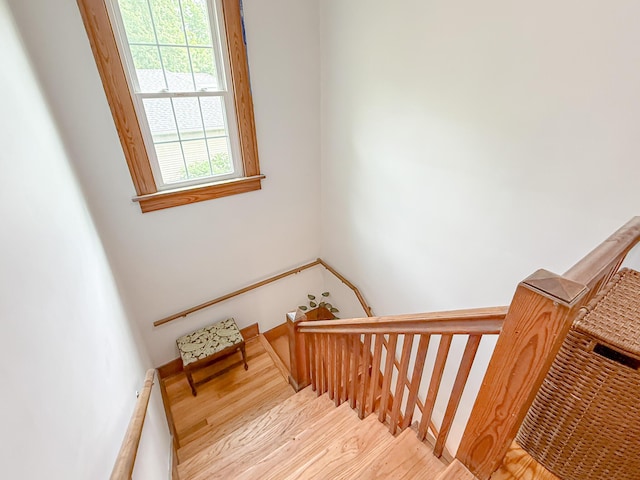 402 S Main St, Berrien Springs, MI 49103 - photo 39
